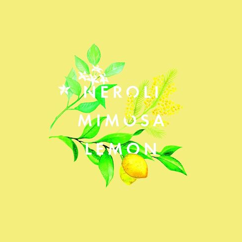 موزع روائح قصب لندن هابينس من نيوم اورجانيكس، 100 مل in Kuwait