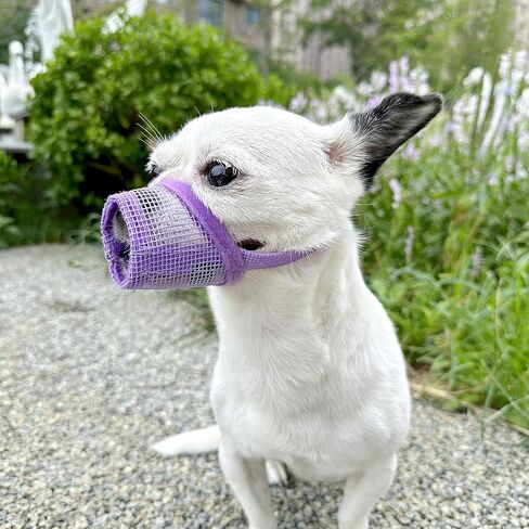 MOIILAVIN Dog Muzzle,Soft Mesh Muzzle for Barking Grooming Biting Chewing for Small Medium Breeds, Barkless Mesh Muzzle Stop Puppy Eating Poop&Rocks XXS XS S (Pink, XXS) in Kuwait