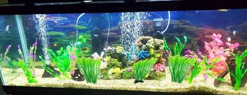 OrgMemory Artificial Aquarium Plants, Aquatic Plants, Aquarium Simulation Plants, Seaweed Water Plants, Fish Tank Lifelike Decorations, (2pcs, 14"), Plastic Aquariums Plants for Household and Office in Kuwait