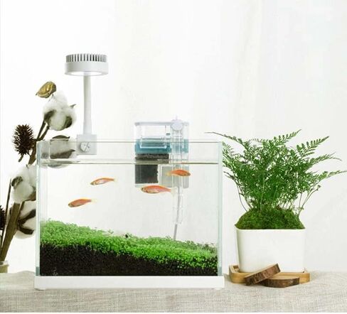 فلتر كيوب ون ميني نانو شفاف من بيتز لايف وورلد لحوض السمك الصغير والوعاء | 2.5 واط | 250 لتر/ساعة in Kuwait