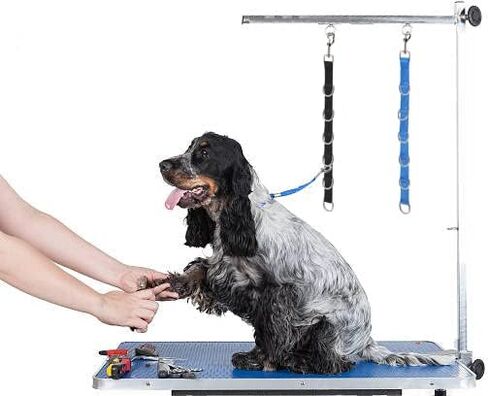 Dog Grooming Loops Extension Strap 2 PCS 6 D-Ring Dogs Grooming Table Arm Extender Straps Groom Restranit Noose Leash Quick Release Loop for Pets Salon (Purple & Green) in Kuwait