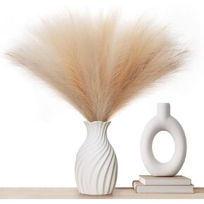 Mocoosy 6 PCS Faux Pampas Grass, 35"/89cm Tall Artificial Pompas Grass Feathers Decor, Fluffy 6 Stem Fake Bulrush Reeds Pompous Branches Vase Fillers Boho Farmhouse Decorations Beige Mixed in Kuwait