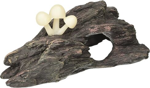 Exo Terra Glow Mushrooms Hideout in Saudi Arabia