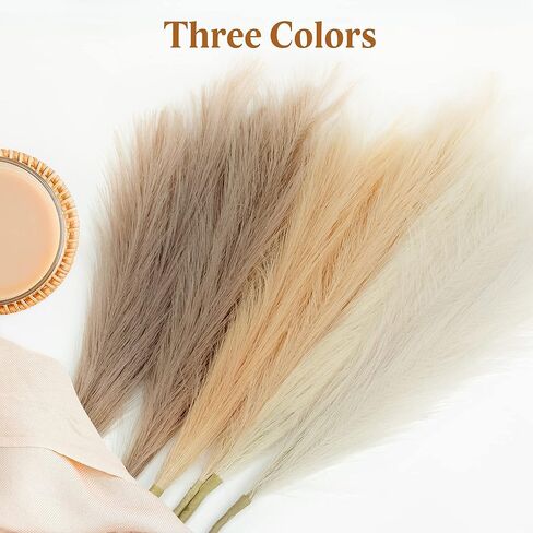 Reed Grass Boho for Flower Arrangements Plants in Kuwait