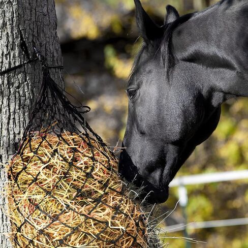 Tudomro 4 Pcs Hay Net Slow Feed Hay Bag 35 Inch Hanging Hay Feeder for Horses Small 2 x 2 Inch Holes Feeding Net Hanging Travel Feeder for Trailer and Stall, Simulates Grazing, Reduce Waste in Saudi Arabia