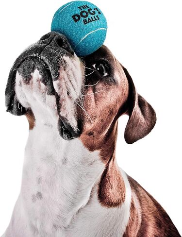 كرات تنس الكلب، كرات تنس للكلاب، 12 قطعة باللون الأصفر، لعبة للكلاب بقطر 2.5 بوصة، كرة قوية للكلاب والجراء للتدريب واللعب والتمرين والجلب in Kuwait