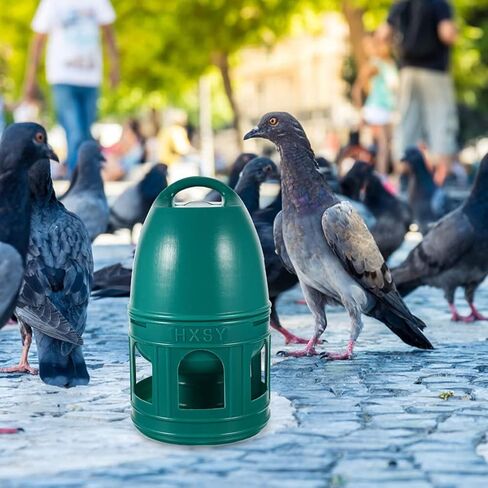 موزع مياه هابيامي بيجون، موزع مياه بلاستيكي لتغذية الطيور، سعة 10 لتر، وعاء مياه للحمام، وعاء مياه للطيور، موزع مياه، ملحق قفص الطيور باللون الأخضر in Kuwait