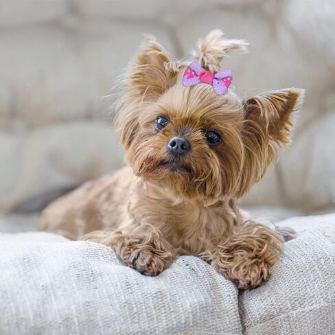 Comsmart 30 زوجًا، 60 قطعة من أقواس الحيوانات الأليفة للكلاب الجرو وأشرطة Grosgrain مع مشابك معدنية، لطيفة صغيرة متوسطة الحجم للكلاب ذات شعر طويل للحيوانات الأليفة، أقواس رائعة للعناية بالفتيات in Kuwait