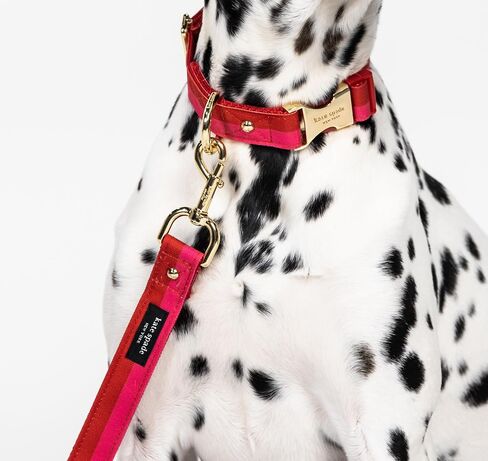 Kate Spade New York 4.5ft Dog Leash, Heavy Duty Leash for Female or Male Dogs, Cute Pet Leash with Gold Metal Hardware, Long Dog Lead for Small and Medium Breeds (Red and Pink) in Kuwait