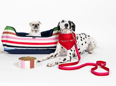 Kate Spade New York 4.5ft Dog Leash, Heavy Duty Leash for Female or Male Dogs, Cute Pet Leash with Gold Metal Hardware, Long Dog Lead for Small and Medium Breeds (Red and Pink) in Kuwait