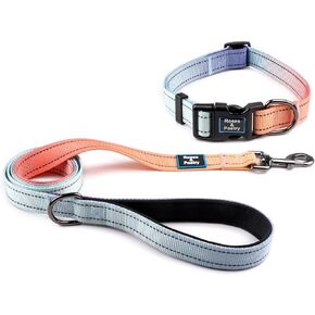 Roses&Poetry Reflective Dog Collar and Leash Set, Purple Martingale Dog Collar and Leash for Medium Dogs, Adjustable Durable Nylon Pet Collars with Leashes for Walking,Playing,Training（Mistyrose-M）