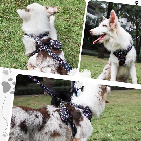 QQPETS Dog Harness Collar Leash with Poop Bag Holder 4 PCS Set, Adjustable No Pull Soft Mesh Padded Vest for Small Medium Large Pet Puppy Outdoor Walking (Floral Black, XS (Chest 12.1"-18.9")) in Saudi Arabia
