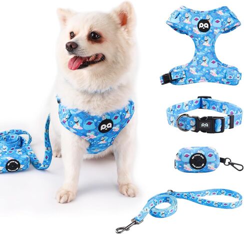 QQPETS Dog Harness Collar Leash with Poop Bag Holder 4 PCS Set, Adjustable No Pull Soft Mesh Padded Vest for Small Medium Large Pet Puppy Outdoor Walking (Floral Black, XS (Chest 12.1"-18.9")) in Saudi Arabia