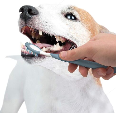 Nylabone Advanced Oral Care Senior Dog Dental Kit Small Dog in Saudi Arabia