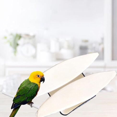 Rosavida 3 قطع من عظم الحبار الطبيعي المصقول لطيور الكوكاتيل والزواحف والسلاحف والقواقع، إمداد مثالي بالكالسيوم والمعادن 5.5-6.5 بوصة in Kuwait