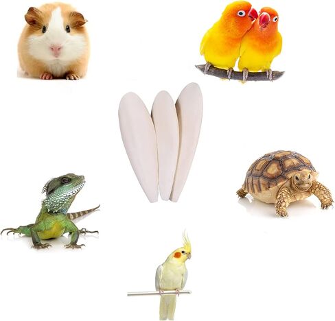 Rosavida 3 قطع من عظم الحبار الطبيعي المصقول لطيور الكوكاتيل والزواحف والسلاحف والقواقع، إمداد مثالي بالكالسيوم والمعادن 5.5-6.5 بوصة in Kuwait