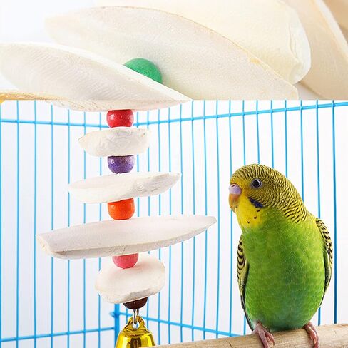 Rosavida 3 قطع من عظم الحبار الطبيعي المصقول لطيور الكوكاتيل والزواحف والسلاحف والقواقع، إمداد مثالي بالكالسيوم والمعادن 5.5-6.5 بوصة in Kuwait