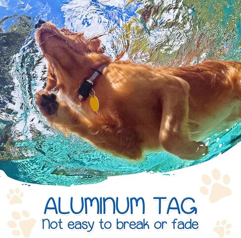 بطاقات تعريف فارغة للحيوانات الاليفة من 30 قطعة من الالومنيوم مع حلقة للحرف اليدوية مع فتحة للحيوانات الاليفة والكلاب والقطط ورقم الهاتف (دائرية، مستطيلة، بيضاوية، قلب) in Kuwait