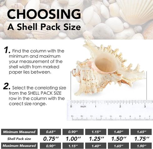 Deauepu® Premium Hermit Crab Shells 4PCS (4 Types) | Good for Medium to Large Hermit Crabs | Opening Size: 1"-1.5", Seashell Size: 2"-3.5" | Hermit Crab House for Décor | No Paint or Dye in Kuwait