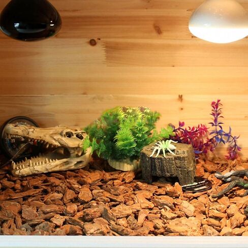 OMEM Natural Reptile Decorative Dinosaur Skull Hideaway Resin Made (M) in Kuwait
