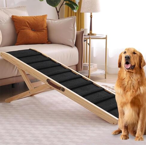 RM04 Dog Large ramp in Saudi Arabia