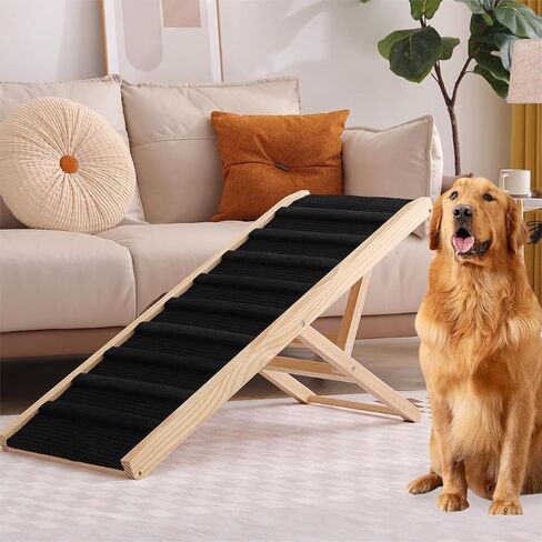 RM04 Dog Large ramp in Saudi Arabia