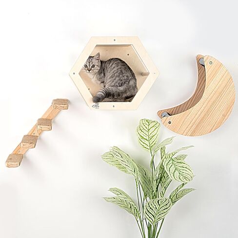 3-Piece Cat Wall Furniture Set - Hammock, Hexagon House, Climbing Steps - Wall Mounted Shelves, Perches, and Beds - Modern Design for Large Cats and Kittens in Saudi Arabia