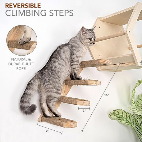 3-Piece Cat Wall Furniture Set - Hammock, Hexagon House, Climbing Steps - Wall Mounted Shelves, Perches, and Beds - Modern Design for Large Cats and Kittens in Saudi Arabia