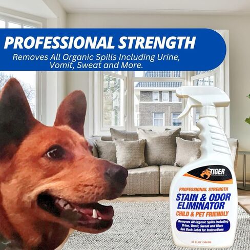 Pet Stain and Odor Remover - Odor Eliminator for Home and Professional Use - Urine Enzyme Cleaner Breaks Up Tough Stains - Carpet Stain Remover for Dog Urine and Cat Urine, Feces and Vomit in Kuwait