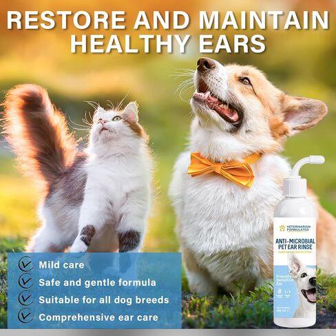 Weeping Willow Oil Co Dog Ear Cleaner, Dog Ear Infection Treatment, Ear Cleaning Solution for Dogs & Cats, Remove Pet Ear Odor and Itch Relief in Kuwait