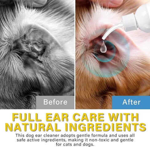 Weeping Willow Oil Co Dog Ear Cleaner, Dog Ear Infection Treatment, Ear Cleaning Solution for Dogs & Cats, Remove Pet Ear Odor and Itch Relief in Kuwait