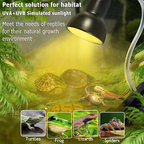 Reptile Heat Lamp, UVA UVB Reptile Light Basking Spot Lamp, Turtle Aquarium Tank Heating Lamps Holder & Switch Fixture for Aquatic Turtles Tortoise Snake Lizards Terrarium Amphibian with 3 Heat Bulbs in Kuwait