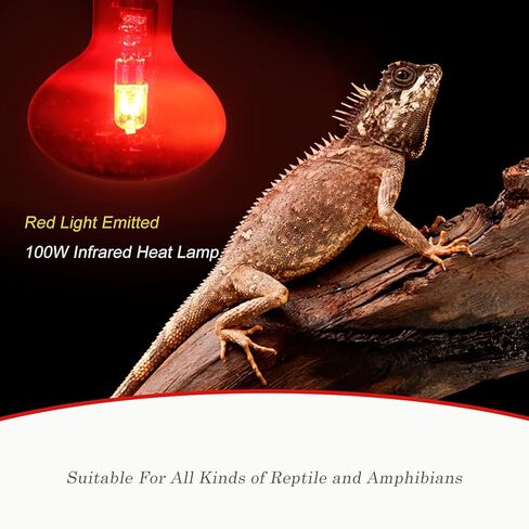 wuhostam 100w مصباح الحرارة التدفئة لمبة الأشعة تحت الحمراء، الأحمر الحيوانات الأليفة ضوء الأشعة فوق البنفسجية مصباح بقعة للاستخدام الزواحف والبرمائيات - سحلية السلحفاة العنكبوت الأفعى الحرباء 2 حزمة in Kuwait