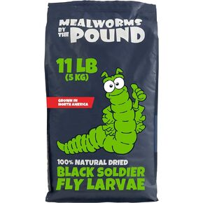 North American Grown Dried Black Soldier Fly Larvae (11 lbs) - More Calcium Than Mealworms - Treats for Chickens, Wild Birds, & Reptiles