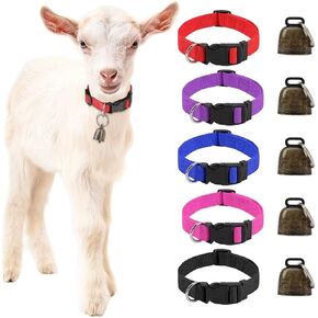GINDOOR 5 Pack Goat Collars with Bells, Horse Sheep Grazing Copper Bells and Adjustable Nylon Collar Set Pet Anti-Lost Loud Bronze Bell for Small Farm Animal Sheep Cow Accessories