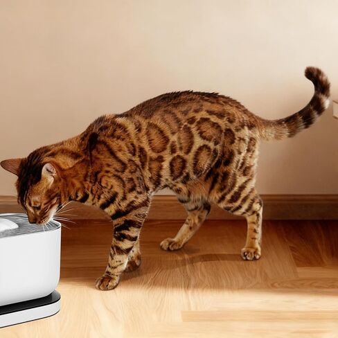 مضخة استبدال PLFF015 لنماذج نافورة مياه Petlibro Cat PLWF005 ، PLWF115 ، PLWF105 ، مضخة هادئة للغاية مع 4 مرشحات و 4 إسفنجية in Kuwait