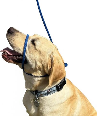 Not So Fast Rover No-Pull Dog Headcollar - The Most Innovative Solution to Pulling - Corrects Your Dog's Pulling for Easier Walks - Allows You to Gain Control (Red) in Saudi Arabia