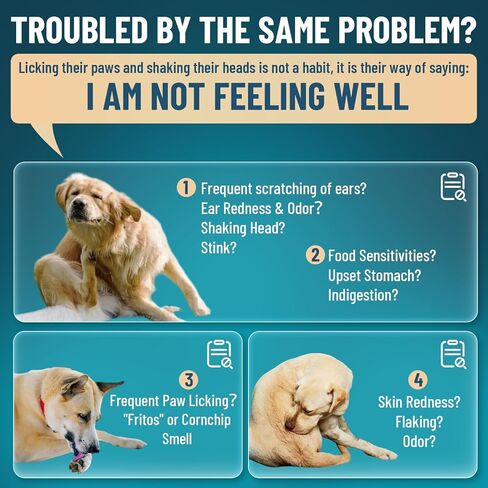 VICSOM Natural Dog Yeast Infection Treatment for Dogs, Itchy Skin & Ear Treatment Natural Support Allergy Relief, Dog Yeast Infection Relief, Support Irritation, Itching & Inflammation 60ml in Kuwait