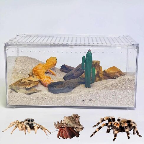 PC reptile terrarium ، دبابة Gecko Leopard ، حاوية القفز عنكبوت ، حاوية السحلية ، مناسبة ل Gecko ، سرطان البحر ، ضفدع الأشجار ، Tarantula ، صلاة Mantis Habitat Starter (كبير) in Saudi Arabia