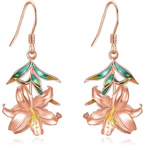 Earrings for Women 925 Sterling Silver Gemstone Dangle Earrings Jewelry Gifts in Saudi Arabia