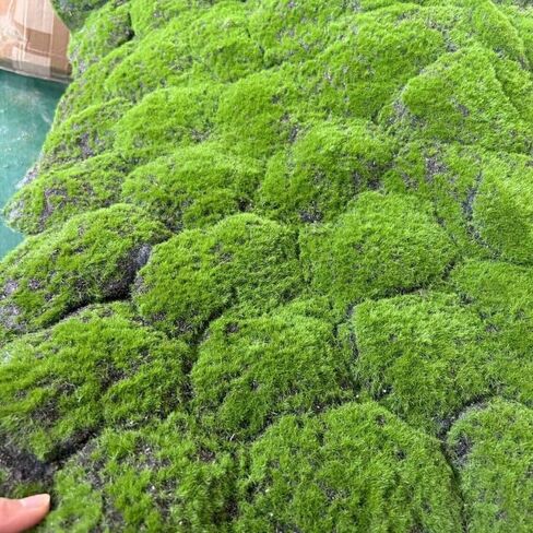 Artificial Moss Turf, 1x1m(3.2x3.2ft) DIY Simulation Artificial Moss for Patio, Balcony, Deck, Yard, Art Wall, Florist Decor in Saudi Arabia