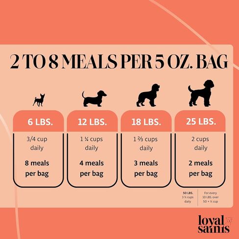 Freeze Dried Raw Dog Food - Premium Beef Flavor with High Protein and Grain Free Dog Food for Small or Large Breeds and Picky Eaters - Versatile as Meal Topper, Snack, and Treats, 5 Oz in Saudi Arabia