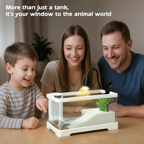 AZV Small Turtle Tank Kit,PC Starter Aquarium Indoor,Red Eared Slider Aquatic for Baby Tortoise,Fishes and Amphibians,Include Basking Platform*1,Filter*1,Filter Plates*2,Plants*2,Lamp*1,Bulb*1,Stone*1 in Kuwait