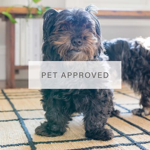 سجادة الجوت Homespice Remi Premium Edition مقاس 4×6 بوصة - إنتاج دفعة صغيرة، ديكور مزرعة مريح منسوج يدويًا in Kuwait