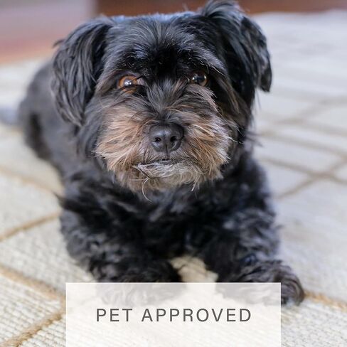 Homespice Remi Premium Edition Jute Rug 4×6' - Small Batch Production, Handwoven Cozy Farmhouse Decor in Kuwait