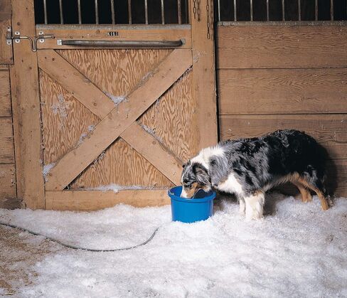 API® Heated Bucket | Heated Round Bucket | Livestock Water Bucket | 16 Gallon in Saudi Arabia