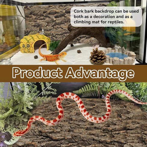 2PCS Reptile Cork Bark Background,15.74 x 11.81 Inch Natural Cork Wood Terrarium Background Bearded Dragon Tank Bark Backdrop Wall Decor for Lizard Gecko Chameleon Tortoise Snake Spider Frog in Saudi Arabia