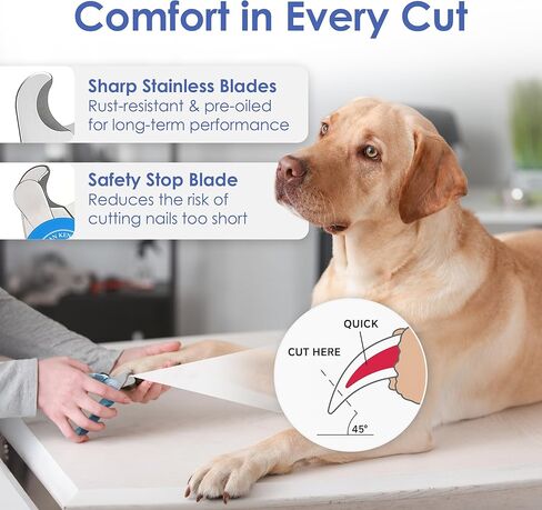 American Kennel Club AKC Probrush ™-فرشاة العناية بفرشاة حمامات مزدوجة على الوجهين مع فرشاة حمام مجانية-للكلاب والقطط من جميع أنواع المعطف in Kuwait