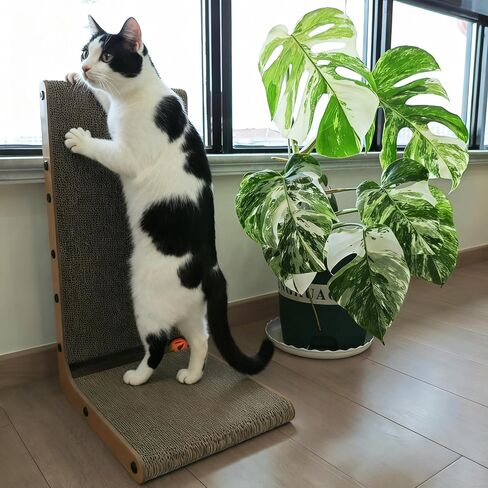 L شكل Cat Scratcher ، Cardboard Cat Scratfer with ball toy ، catnip ، protected hearmate reparting pad cat cat cat pad ، furniture cat scratch for in indoor cats (20 incn) in Kuwait