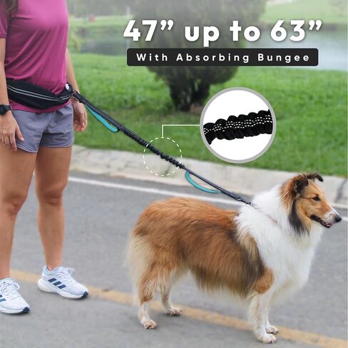 Bond Dog Running Leash Hands Free Dog Consh مع حقيبة ، وحزام تشغيل للحيوانات الأليفة للمشي ، والركض ، و Canicross ، يشمل الصراخ المزيج على السلامة حزمة مقعد سيارة الأليف ، حزام جرو للكلاب in Saudi Arabia